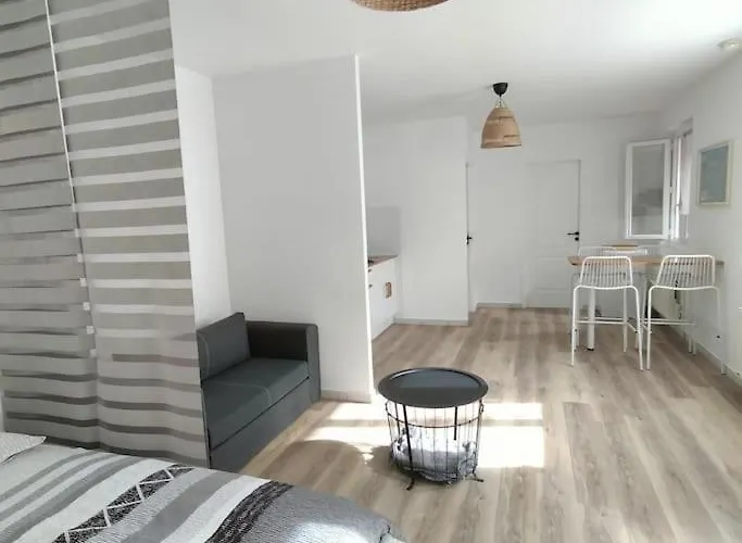 Spacieux Studio Dans Residence Avec Parking Prive