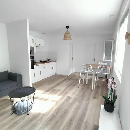 Spacieux Studio Dans Residence Avec Parking Prive Clermont-Ferrand Exterior foto