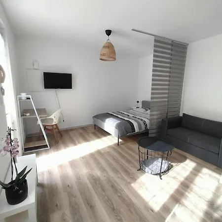Spacieux Studio Dans Residence Avec Parking Prive Clermont-Ferrand Exterior foto
