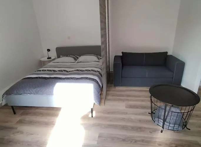 Spacieux Studio Dans Residence Avec Parking Prive